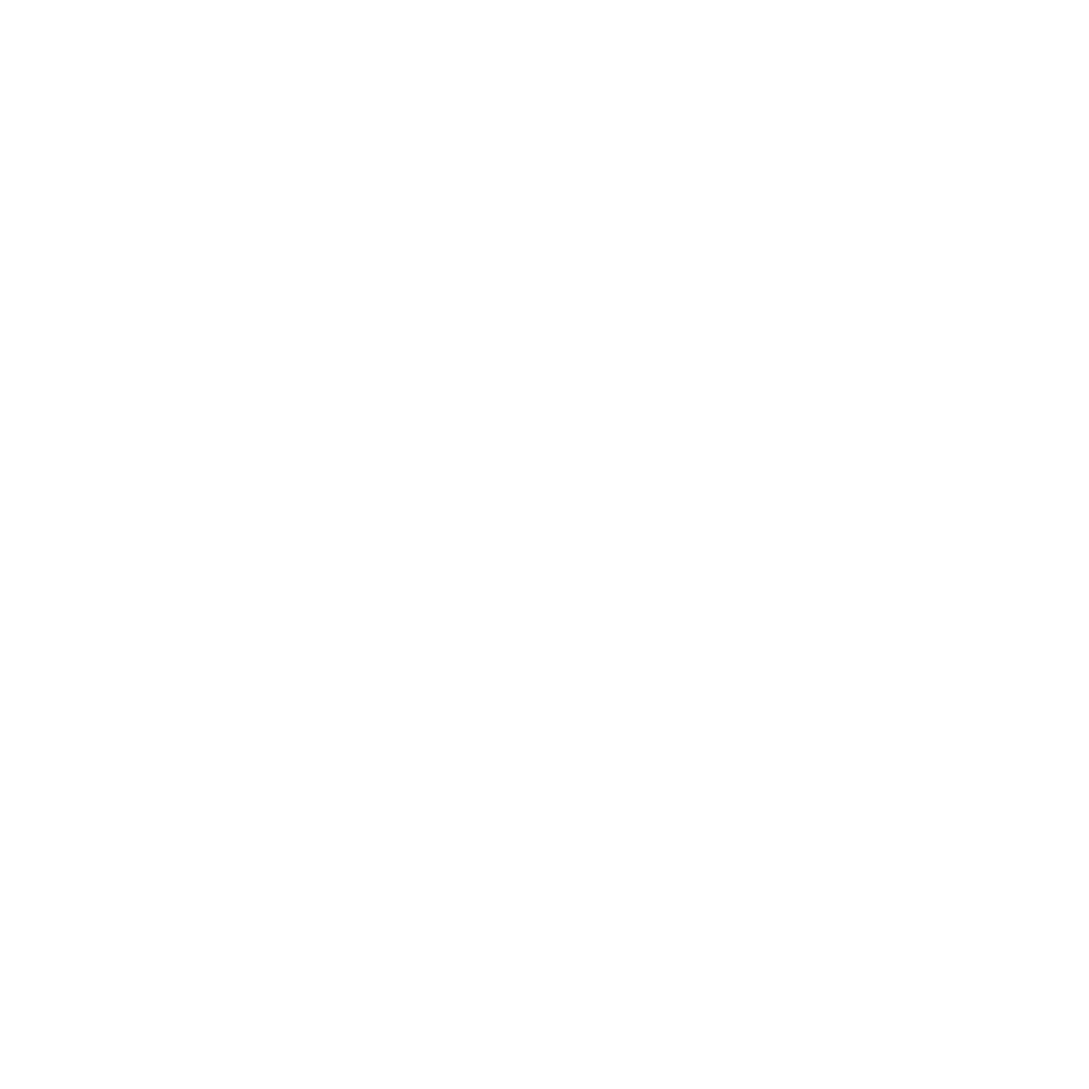 Wolf Ingenieure Logo in weiß ohne Hintergrund